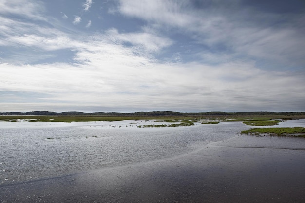 Bassin d'Arcachon à marée basse