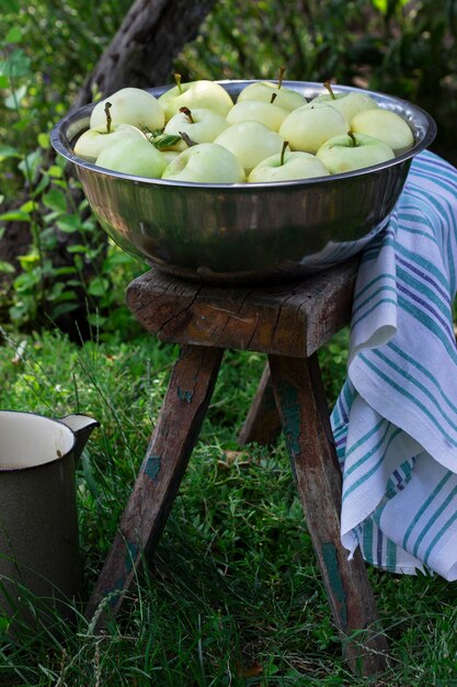 Un bassin avec de l'eau et des pommes sur le fond d'un jardin d'été.