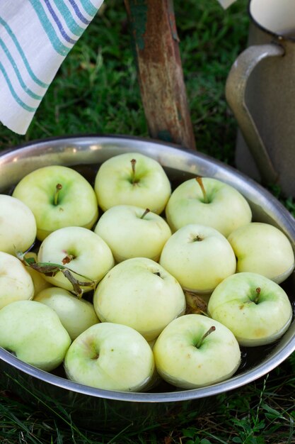 Un bassin avec de l'eau et des pommes sur le fond d'un jardin d'été.