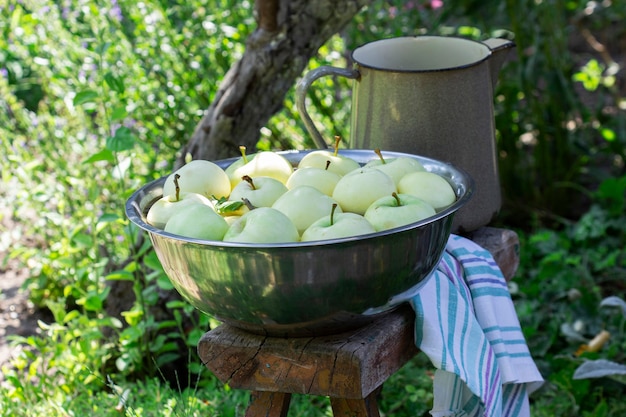 Un bassin avec de l'eau et des pommes sur le fond d'un jardin d'été.