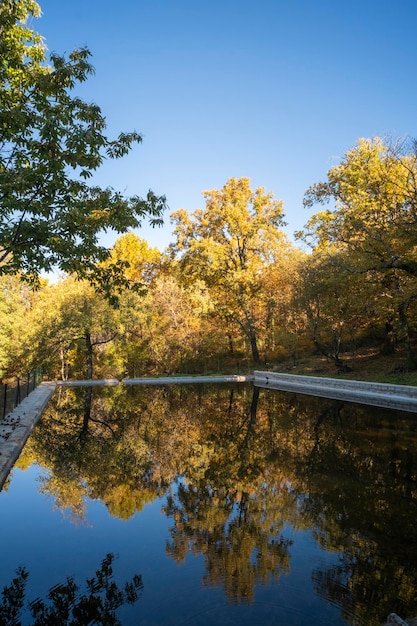 Un bassin d'irrigation reflète la spectaculaire forêt de châtaigniers avec ses feuilles dorées