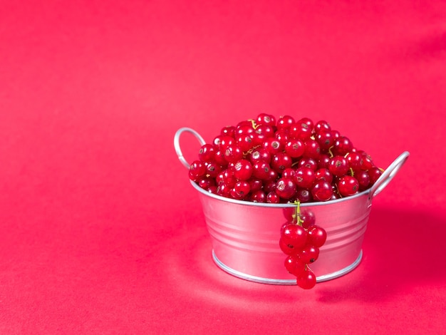 Un bassin en métal rempli de groseilles rouges sur surface rose