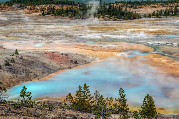 Bassin de Norris Geyser