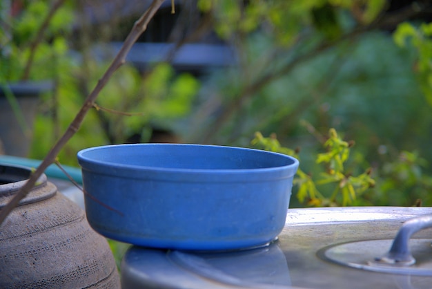 Le bassin en plastique bleu avec l'eau, le bol d'eau et la fleur de frangipanier, plumeria,.