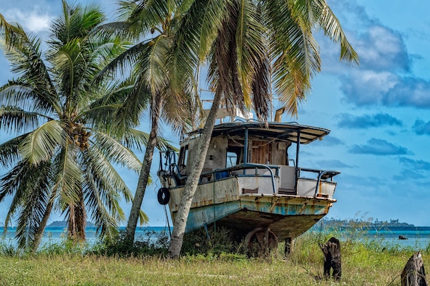 Bateau abandonné sur la plage de noix de coco de la Polynésie