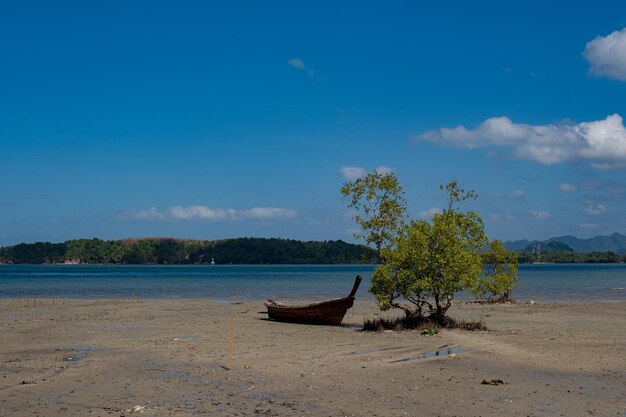 Bateau longtail en bois dans la province de Krabi Thaïlande