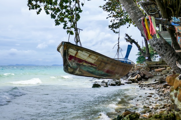 Un bateau de pêche pend sur un arbre.