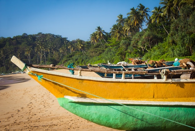 Bateau De Pêche Sur Une Plage Tropicale Avec Des Palmiers