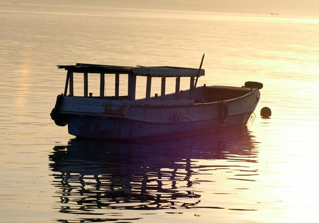 bateau à queue longue