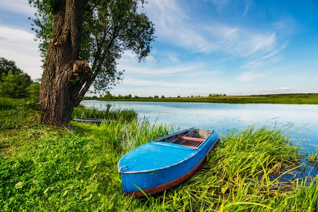 Bateau sur le rivage dans un magnifique paysage d&#39;été