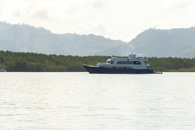 Bateau sur la rivière