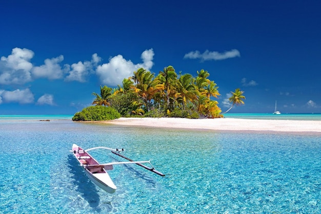 Un bateau rose dans l'eau avec des palmiers sur la plage.