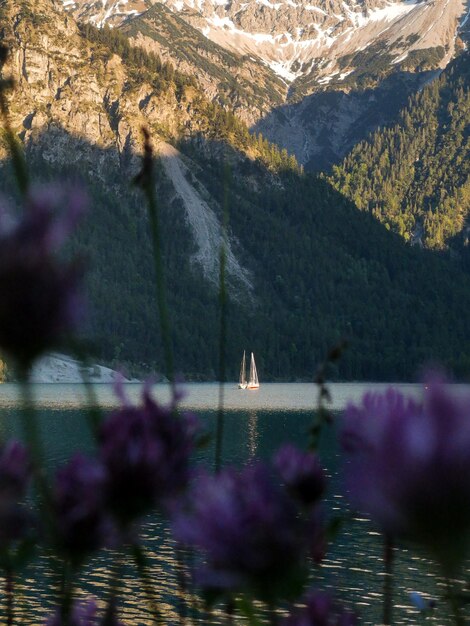 Photo un bateau à voile dans un lac, un plan, une montagne.