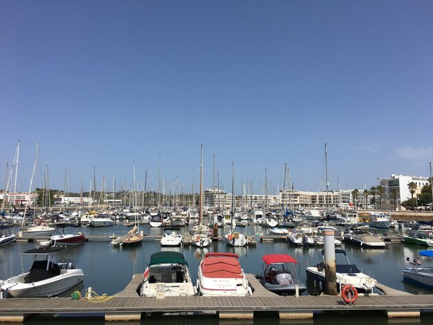 Photo des bateaux amarrés au port contre un ciel dégagé