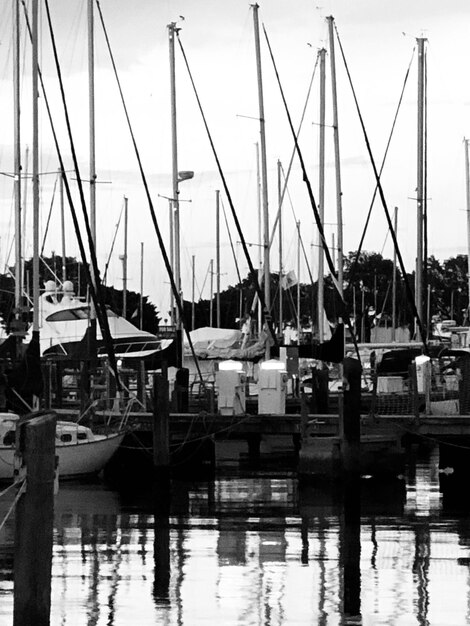 Des bateaux amarrés au port