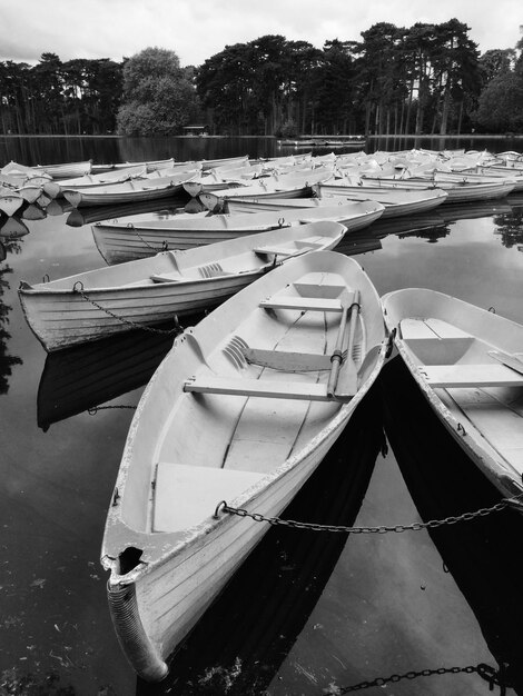 Photo des bateaux amarrés au port.