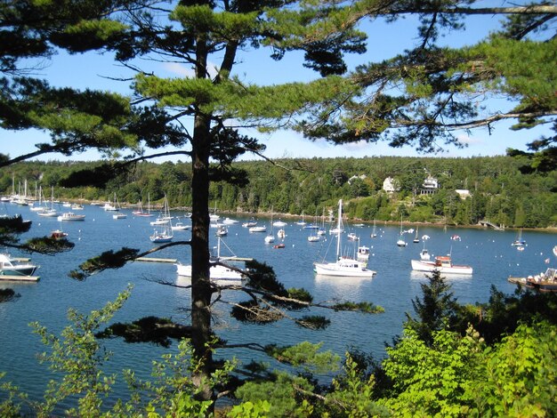 Des bateaux amarrés dans le lac contre le ciel