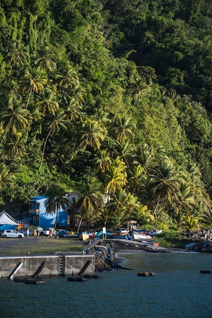 Photo des bateaux amarrés en mer