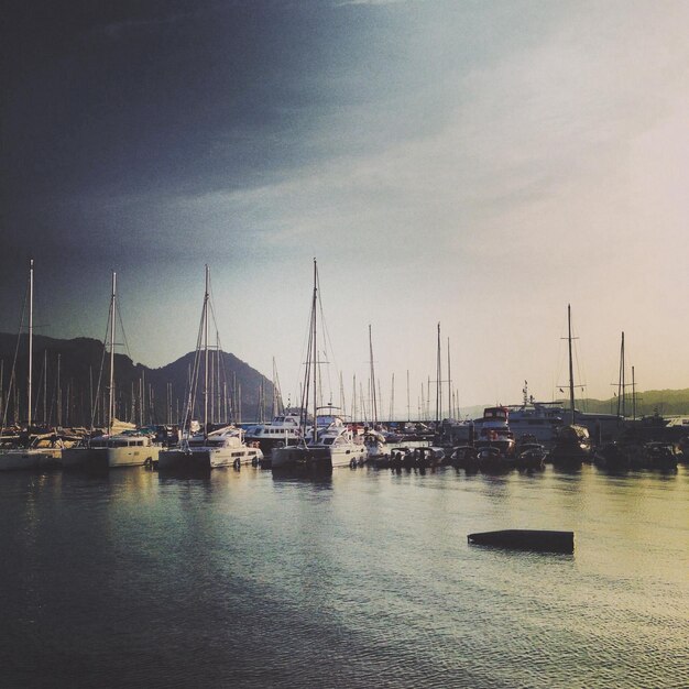 Photo des bateaux au port