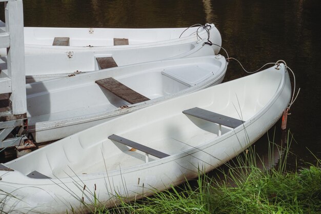 Bateaux blancs près du rivage. Une photo d'un bateau blanc près du rivage. Bateaux pour la voile.