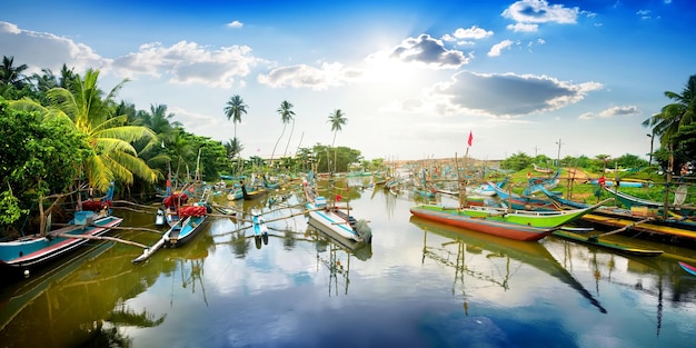 Bateaux colorés dans la baie tropicale du Sri Lanka