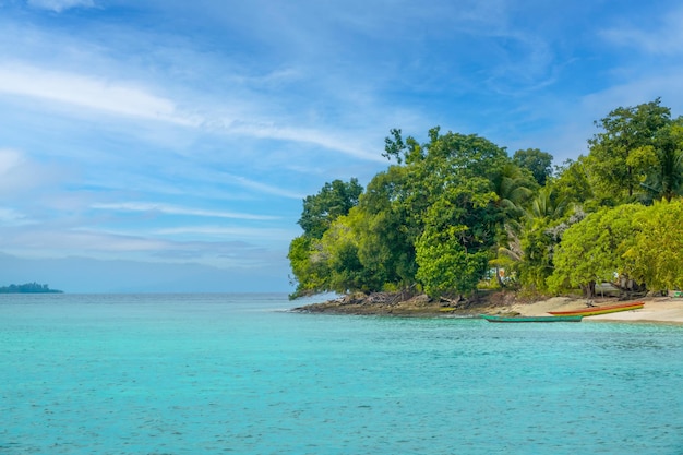 Bateaux sur la côte tropicale