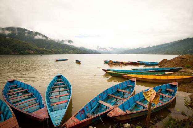 Bateaux sur l'eau au lac Phewa (Fewa).