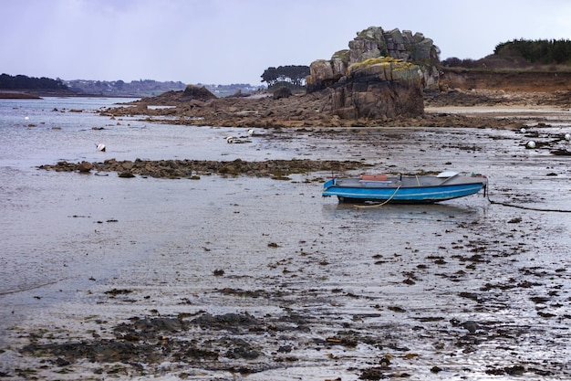 Bateaux à marée basse