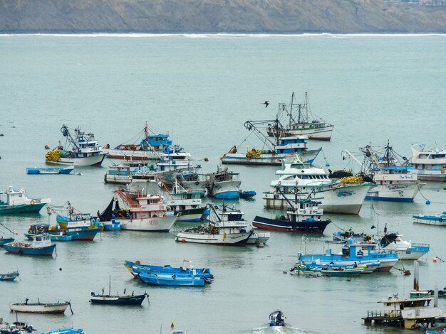 Bateaux de pêche dans le port