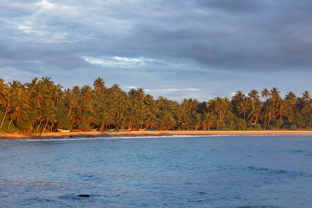 Bateaux de pêche sur la plage