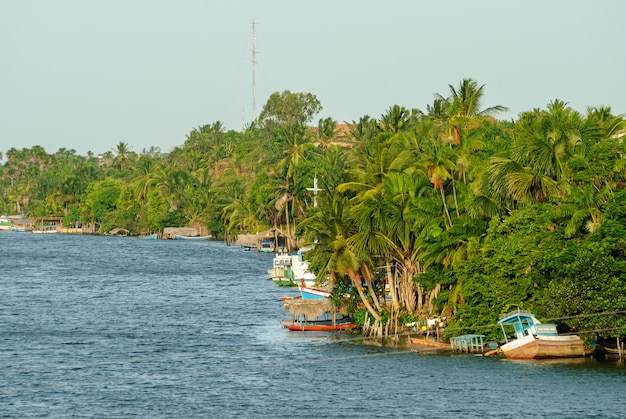 Bateaux de pêche sur la rivière Preguica Barreirinhas Maranhao Brésil