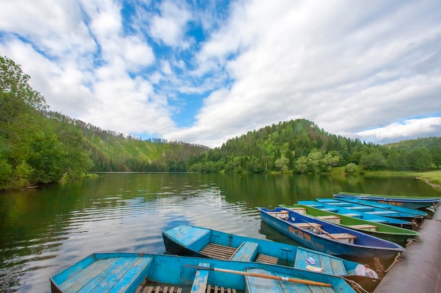 Bateaux en rivière et arbres