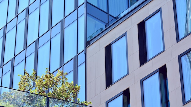 Un bâtiment avec un arbre devant