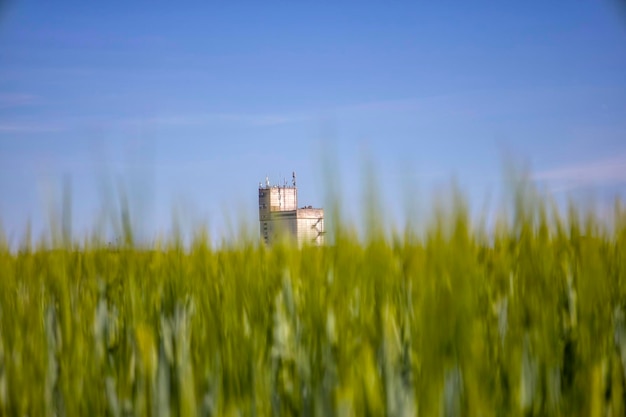 Bâtiment blanc avec antennes avec arrière-plan flou