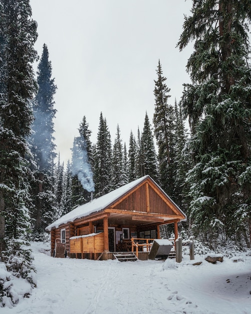 Bâtiment en bois d'abri avec allumage d'une cheminée et vente de boulangerie et de boissons au lac O'hara