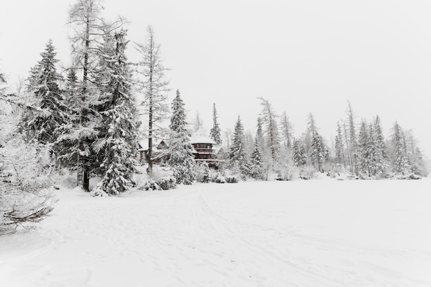 Bâtiment en bois dans la forêt froide d&#39;hiver