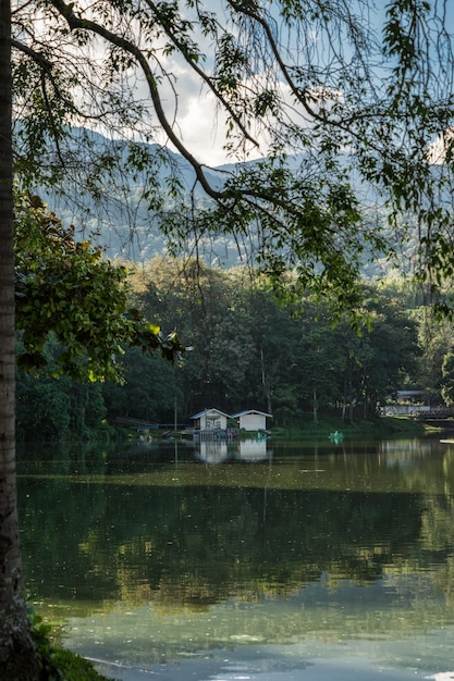 Bâtiment et branche d'arbre accroché au réservoir d'Ang Kaew aux beaux jours à Chiang Mai