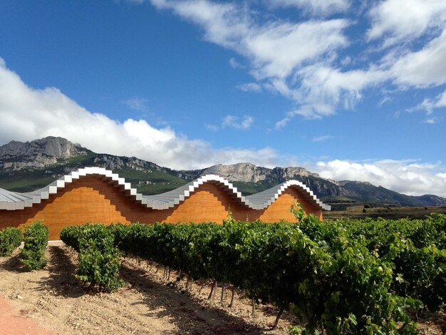 Bâtiment de la cave et du vignoble de Bodegas ysios