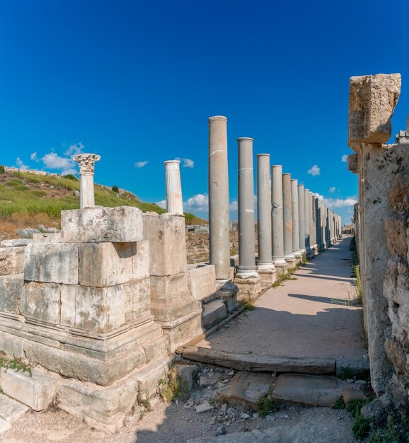 Photo un bâtiment avec des colonnes qui dit le numéro 4