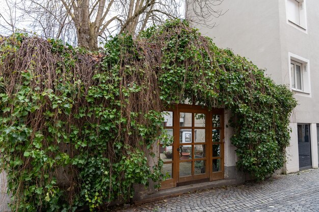 Un bâtiment avec du lierre qui pousse dessus et une porte avec un panneau dessus