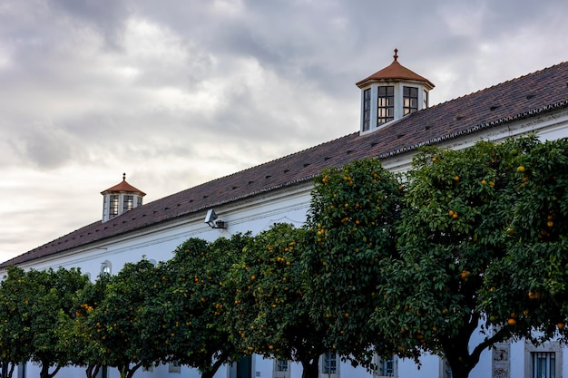 Bâtiment du séminaire Sao Jose de la ville de Faro