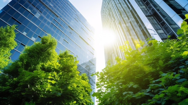 Bâtiment écologique dans la ville moderne Bâtiment de bureaux en verre durable avec arbre pour réduire le CO2