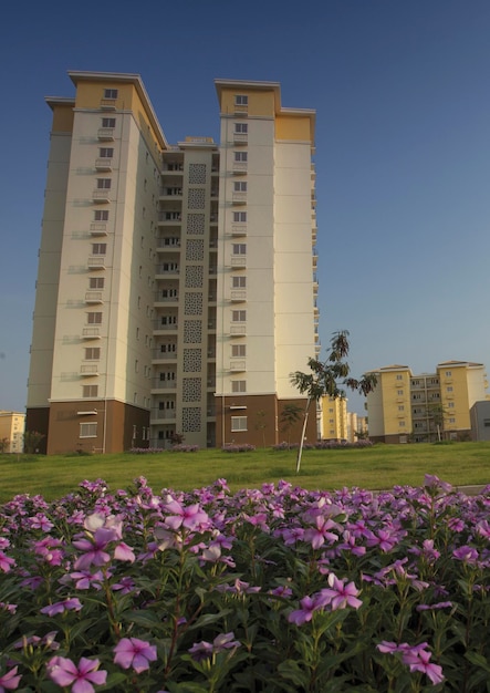 Un bâtiment avec des fleurs violettes devant