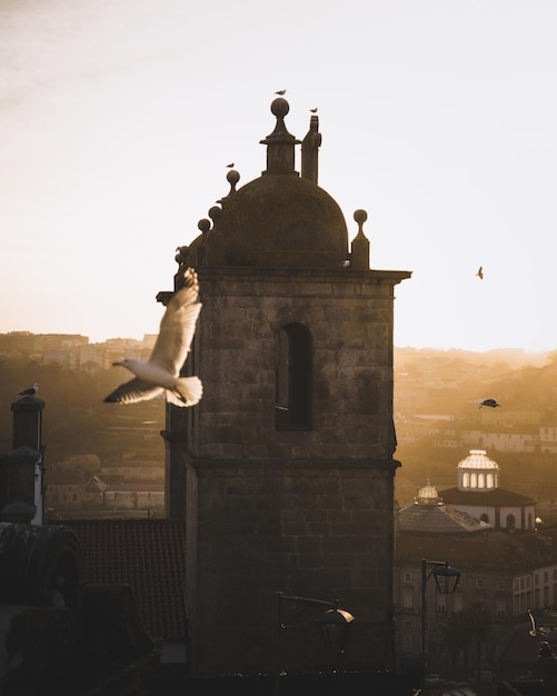 Photo bâtiment historique contre le ciel au coucher du soleil