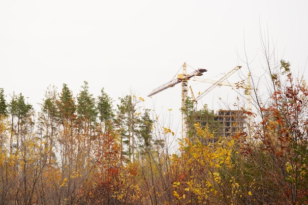 Bâtiment moderne en construction avec grue Construction d'un bâtiment avec grue haute sous ciel clair