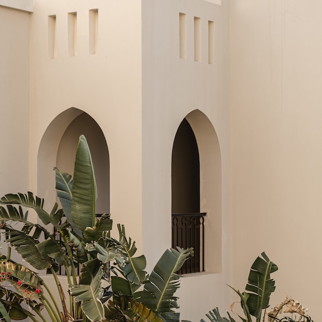 Bâtiment moderne de style oriental avec des murs beiges, des fenêtres et des feuilles de palmiers tropicaux