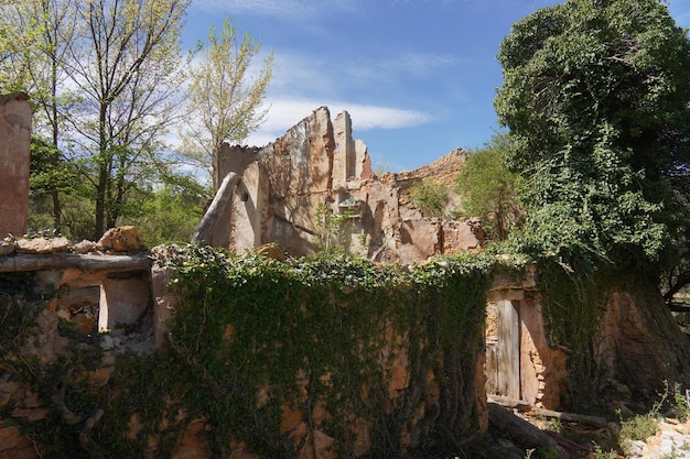 Un bâtiment en pierre avec du lierre poussant sur les murs