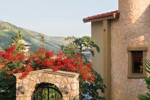 Bâtiment en pierre avec un portail et un bel arbre en fleurs