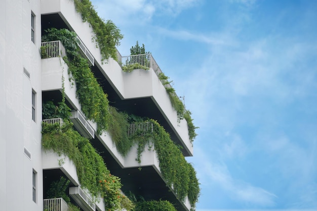 bâtiment avec des plantes qui poussent sur la façade