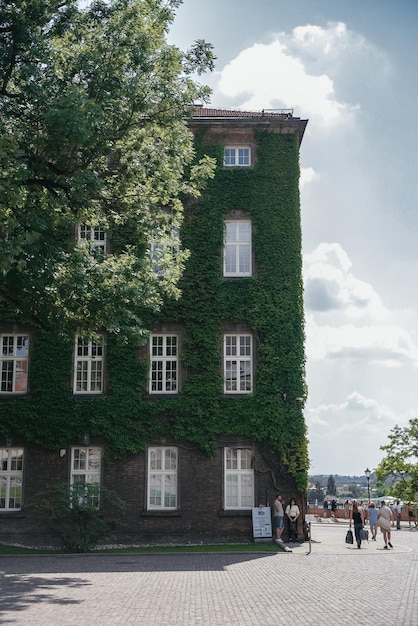 Photo bâtiment recouvert de lierre dans le quartier historique de cracovie